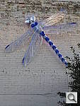 Click to see YIMGP0894.JPG
