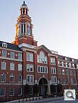Click to see YIMGP0920.JPG