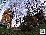 Click to see YIMGP0963.JPG