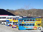 Click to see YIMGP1048.JPG