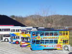 Click to see YIMGP1049.JPG