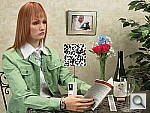 Click to see PS100INBAP1.JPG