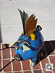Click to see Y1IMG_0067.JPG