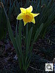Click to see YIMG_0070.JPG