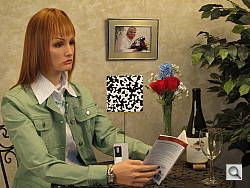Click to see PS90INBFSP3.JPG