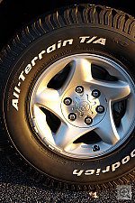 Click to see YDSC00497.JPG