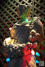 Click to see YDSC00597.JPG