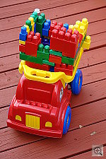 Click to see YDSC00701.JPG