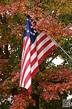 Click to see YDSC00799.JPG