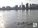 Click to see YHPIM0506.JPG