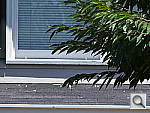 Click to see S100FSFARWTDT.JPG