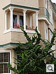 Click to see YDSCF1877.JPG