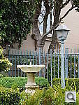 Click to see YDSCF1884.JPG