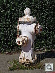 Click to see YDSCF1930.JPG