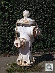 Click to see YDSCF1931.JPG