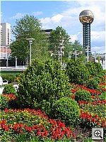 Click to see YIMG_6443.JPG