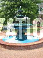 Click to see S20YIMG_9633.JPG