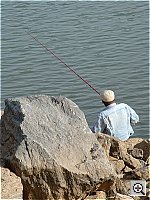 Click to see YDSCF0592.JPG