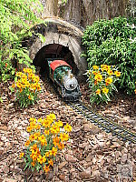 Click to see YIMG_0656.JPG