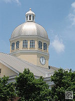 Click to see YIMG_0709.JPG