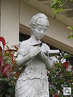 Click to see YIMG_0599.JPG