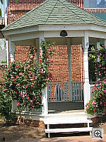 Click to see YIMG_1187.JPG