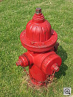 Click to see YIMG_1199.JPG