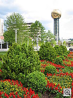 Click to see YIMG_6997.JPG