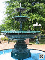 Click to see YIMG_4036.JPG