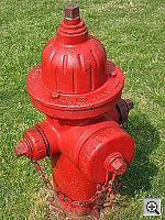 Click to see YIMG_4045.JPG