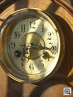 Click to see YIMGP0594.JPG