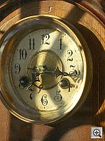 Click to see YIMGP0595.JPG