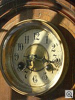 Click to see YIMGP0597.JPG