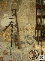 Click to see YIMGP0601.JPG