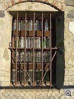 Click to see YIMGP0602.JPG