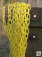 Click to see YIMGP0616.JPG