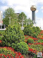 Click to see YIMG_6826.JPG