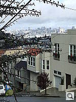 Click to see YDSCF0819.JPG