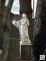 Click to see YDSCF0851.JPG