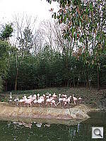 Click to see YDSCF1001.JPG