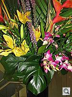Click to see YIMG_0019.JPG