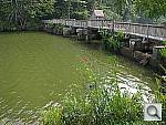 Click to see YIMG_0094.JPG