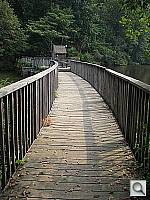 Click to see YIMG_0095.JPG