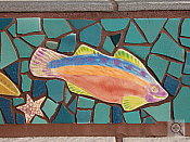 Canon PowerShot S80 digital camera image