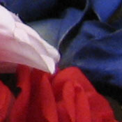 Canon PowerShot S80 digital camera image