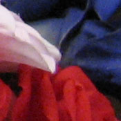 Canon PowerShot S80 digital camera image