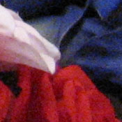 Canon PowerShot S80 digital camera image