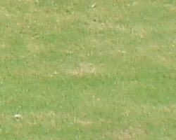 Olympus Stylus 800 digital camera image