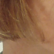 Olympus Stylus 800 digital camera image