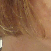 Olympus Stylus 800 digital camera image